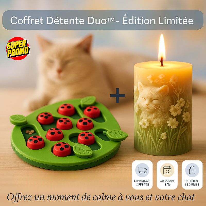 Zen & Calme intérieur pour vous et votre chat 🐾